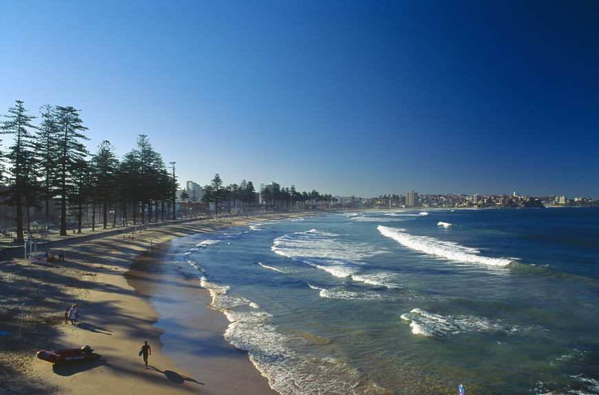 Sydney Half Day Sight Seeing with Manly Beach (Morning)